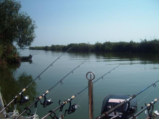 delta rosu 2009 - sany7979.JPG